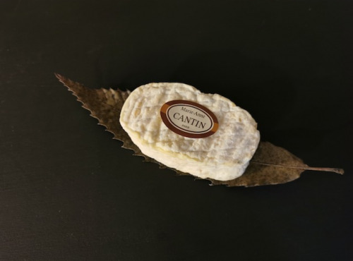 La Fromagerie Marie-Anne Cantin - Bichounet