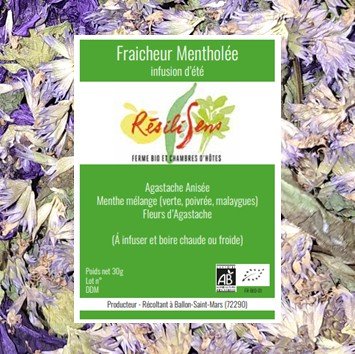 Résilisens - Fraicheur Mentholée