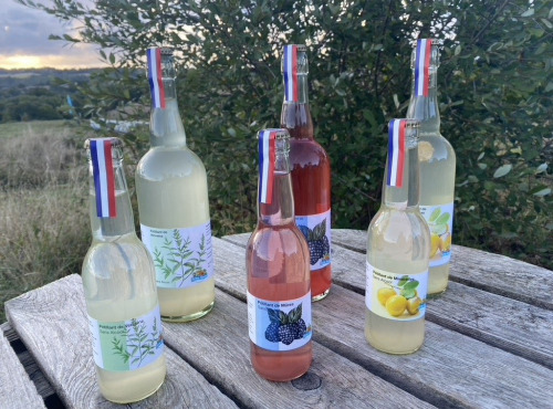 Ferme Sinsac - [Précommande] Pétillant de Fraise et Rhubarbe sans alcool