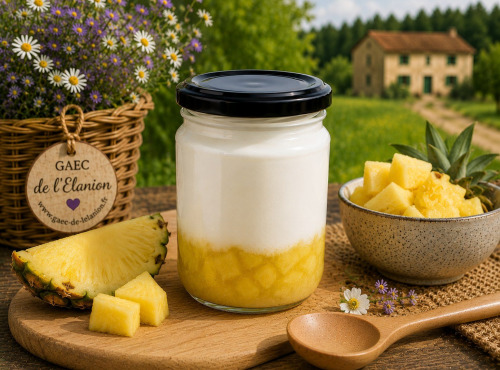 Gaec de l'Elanion - Fromage Blanc Confiture Ananas 130g