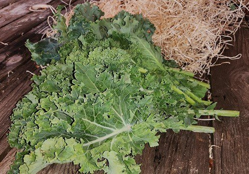 Les Jardins de Gérard - Chou Kale vert Bio - 500 g