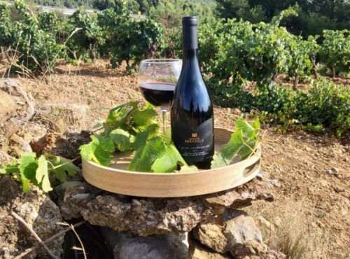Domaine Miradels - AOC Corbières - Vignes Centenaires, Domaine Miradels 2017- 6 bouteilles