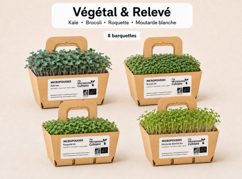 Ma Micropousse culinaire - Micro-pousses bio – Pack Végétal & Relevé – Kale, brocoli, roquette & moutarde – 8 barquettes