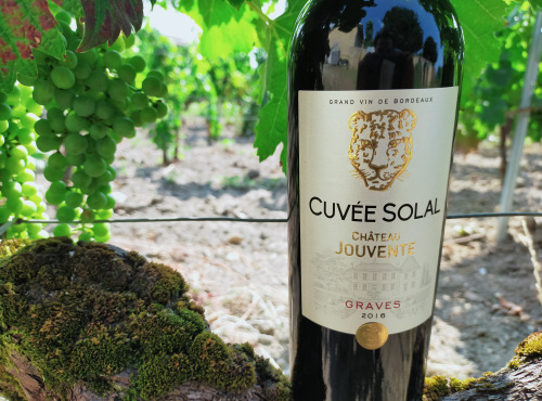 Château Jouvente - Château Jouvente Cuvée Solal AOC Graves Rouge 2016 - 6 Bouteilles