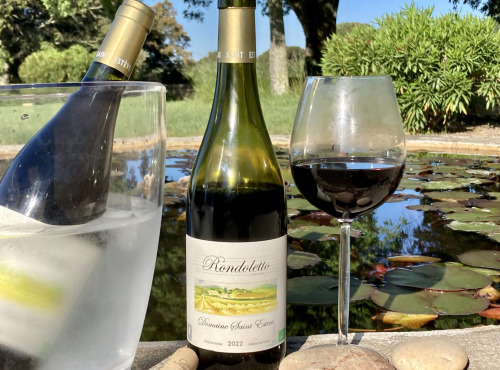 Château Saint Estève d'Uchaux - RONDOLETTO - Rouge léger 13° AOP Côtes du Rhône BIO x6
