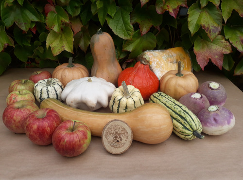 Ferme de Cernunnos - Panier de fruits et légumes d'automne