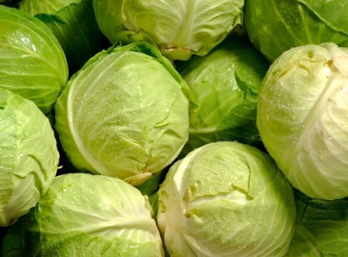 ChâteauFer - Chou Cabus - Blanc 1kg