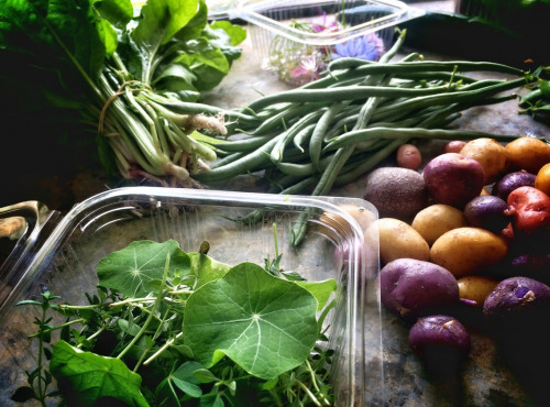 La Ferme d'Artaud - Panier de Mini Légumes Gastronomiques