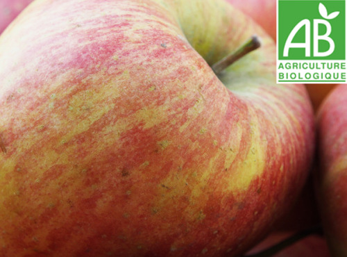 Mon Petit Producteur - Pomme Bicolore Gala