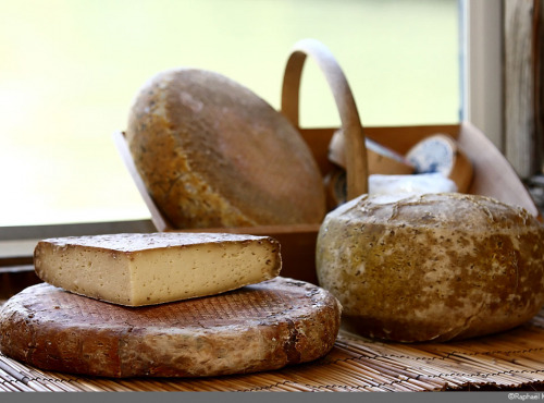 Le Moulin Gourmand - Fromage De Bethmale ''pur Chèvre" 1 Kg