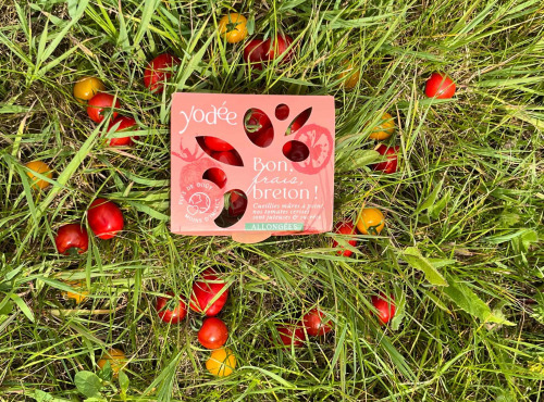 Agriloops - Tomate Cerise Allongée 250g