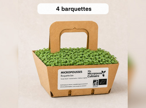 Ma Micropousse culinaire - Micro-pousses bio de roquette - 4 barquettes