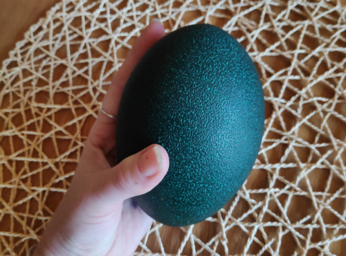 La Ferme Enchantée - Oeuf d'Emeu