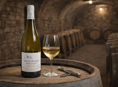 Domaine ROUX-GROS - Mâcon Villages "Terroir de Farges"- Cuvée Fût de chêne 2022 6x75cl