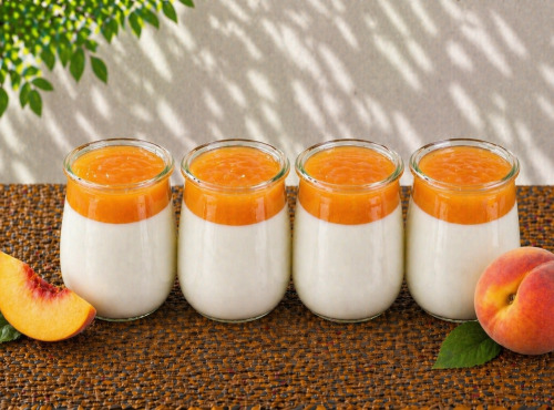 Gaec de l'Elanion - Yaourt À La Confiture De Pêche x4