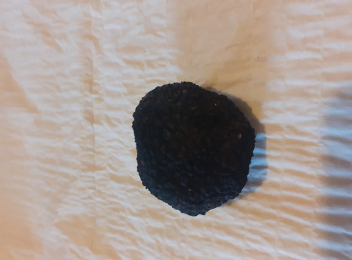 Les Vergers de la Vautée - Truffe de Bourgogne Fraîche