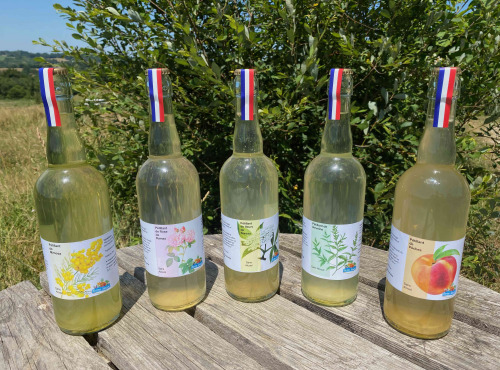 Ferme Sinsac - Assortiment de Pétillants (lot de 2 x 3 saveurs) sans alcool