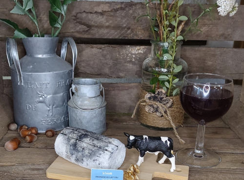Boutique Boisette - Bûchette pur vache cendrée 190g