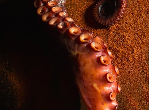 Thierry Salas, fumage artisanal - Tentacule de poulpe fumé - entier