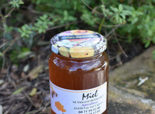 La Truite du Mézenc - Miel de Thym Garrigues - 500g