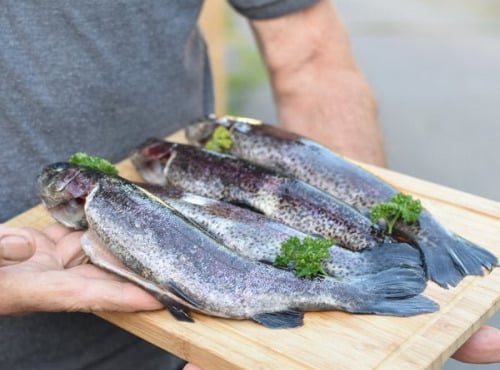 La Truite du Mézenc - Truite arc-en-ciel blanche vidée 220g en lot de 8kg