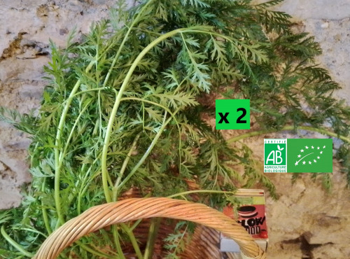 LES JARDINS DE KARINE - Feuilles de Carotte - 500g