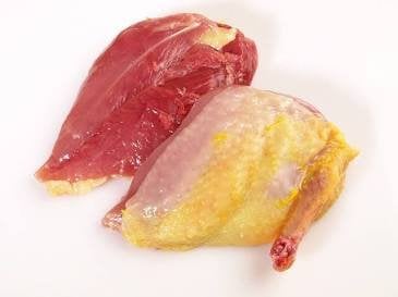 Des Poules et des Vignes à Bourgueil - Suprême de pigeon