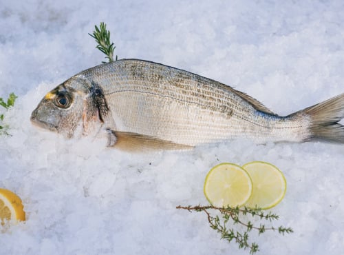 Côté Fish - Mon poisson direct pêcheurs - Daurades Royales 500g