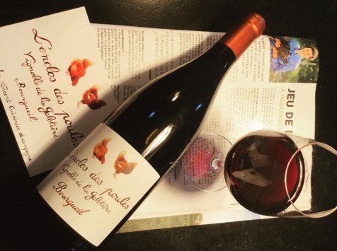 Des Poules et des Vignes à Bourgueil - 6 x Enclos des Poules 2022