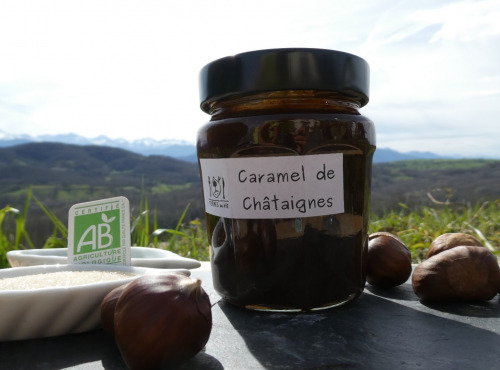 Terres EnVie - Caramel De Châtaigne Bio