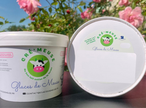 Glaces de Meuse - "Dragée de Verdun" - Crème glacée (360 gr x 3)