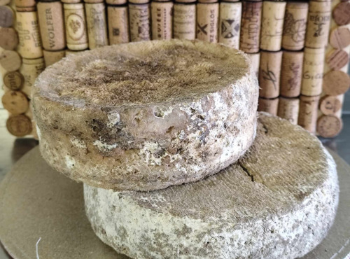 GAEC Petit Tonnerre - Lot Bleuflonne et Saint Buffala déclassé (fromage entier)