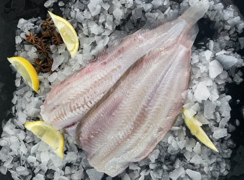 Notre poisson - sole préparée sans peau sans tête lots de 1kg