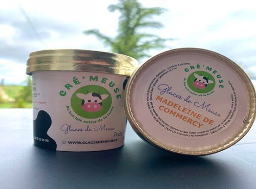 Glaces de Meuse - Crème Glacée Lot 20 P'tit Pot Madeleine de Commercy 120mL