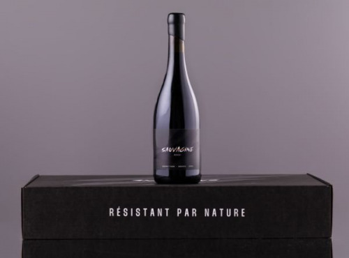 Domaine Sauvagine - Sauvagine Rouge 2024 x1 - Vin bio & cépages résistants
