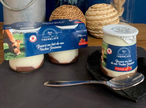 Ferme de La Tremblaye - 2 yaourts fraise