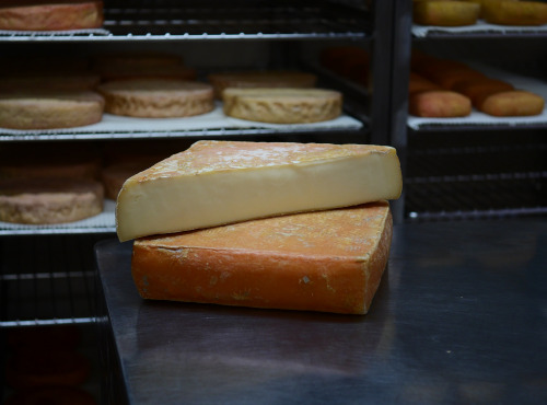 Alléosse Maitre Artisan Affineur Fromager - Taleggio de Montagne - DOP