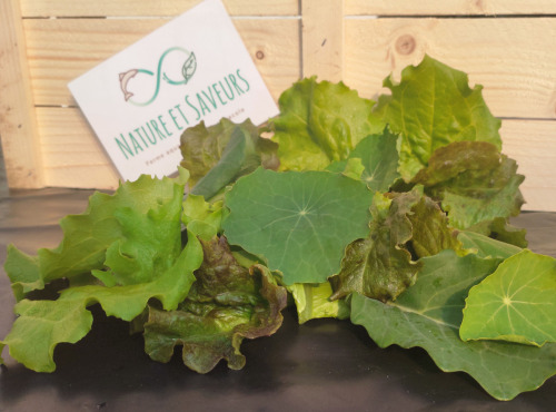 Nature et Saveurs - Ferme Aquaponique et Permacole Astérienne - Mesclun de Jeunes Feuilles de Laitue & Pousse