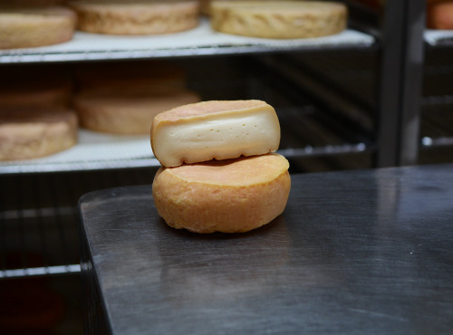 Alléosse Maitre Artisan Affineur Fromager - Casanu Casgiu di Pecura affiné à la biere de Chataigne