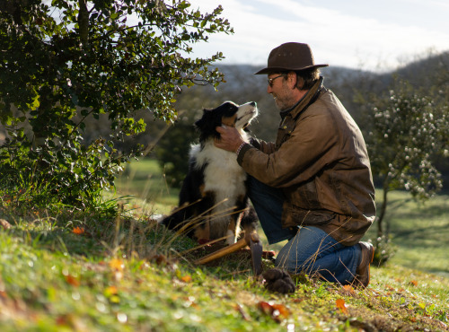 Domaine de Vielcroze - [Précommande] Truffe Noires Fraiches Entières Du Périgord Tuber Mélanosporum - 1ère Catégorie