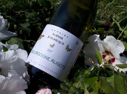Domaine Sophie Joigneaux - AOP Bourgogne-Aligoté 6x75cl Millésime 2021