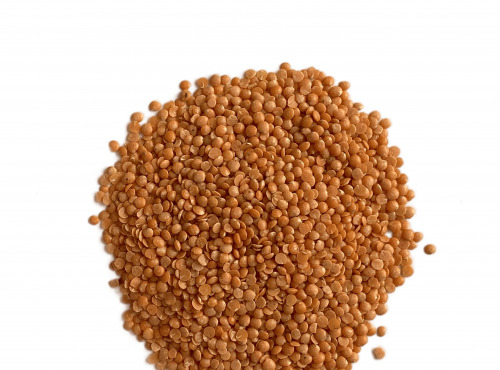 Sa Majesté la Graine - Lentilles corail BIO origine France - 500g