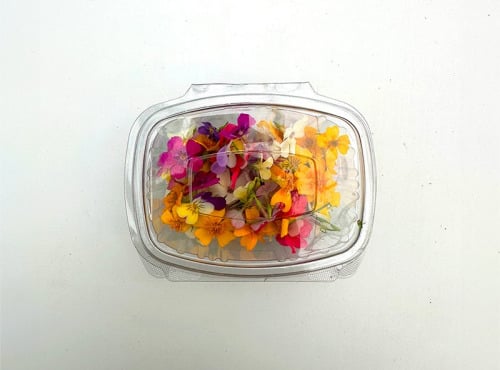 Les Nouvelles Fermes - Mix de fleurs comestibles (boite de 40 fleurs)