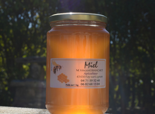 La Truite du Mézenc - Miel de rhododendron 1Kg