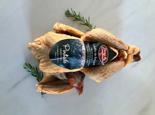 Ferme de Compreste - Pintade fermière tradition 3 x 1,6 kg