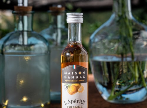 Maison Gannac - Apéritif vin et Orange Amère - 10 cl