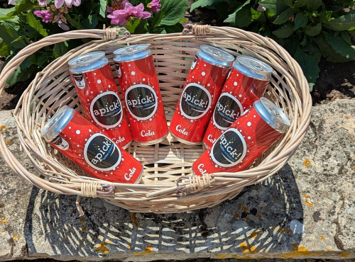L'Eurélienne - Brasserie de Chandres - Pack 6 canettes de COLA 33cL Apick!