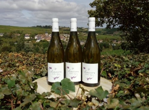 Domaine Doudeau-Leger - Sancerre Blanc AOC 2023 - 3 Bouteilles