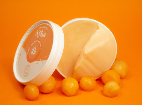 Sÿba - Glaces végétales - 120ml - Sorbet au Melon