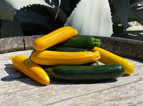 La Boite à Herbes - Courgettes Longues Panachés - 2kg